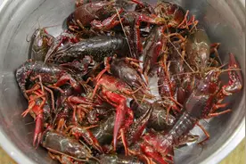 麻辣小龙虾的正确做法，厨师长全过程视频演示，揭秘详细配料秘方