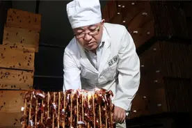 中国这座垃圾处理中心，养了10亿只蟑螂，每天消灭50吨餐厨垃圾！视频封面