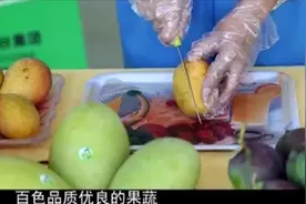 世界那么大：中国第一个芒果之乡百色田阳，吸引各地的商家来采购视频封面