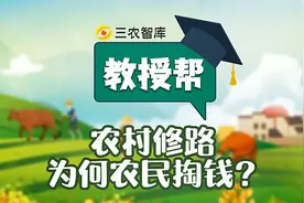 农村修路为什么农民自己掏钱？这钱究竟该谁出？视频封面