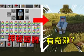 我的世界：MC新增10种图腾？只需消耗饥饿值就可上天入地！