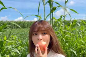 韩国女友的东北生活，第一次逛菜园子，太开心：在韩国没有的体验视频封面