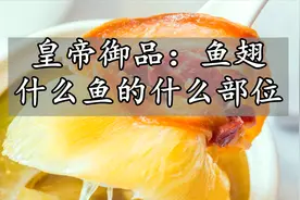 鱼翅到底是鱼的什么部位，营养价值很高？被骗了好多年！