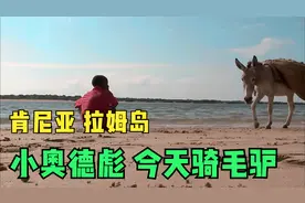 肯尼亚的拉姆岛，毛驴比汽车多，拥有一头毛驴就可以改变家庭生活视频封面