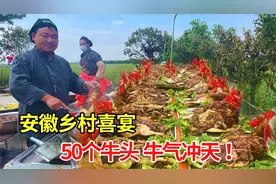 安徽蒙城乡村喜宴，1380元一桌22个菜，50个牛头宴，牛气冲天！视频封面