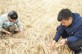 远嫁真的好吗？听听远嫁河南40年的四川大妈咋说的，她说的对吗