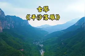 龚一大师古琴演奏《平沙落雁》琴音古朴高远，安静淡然，净化心灵视频封面