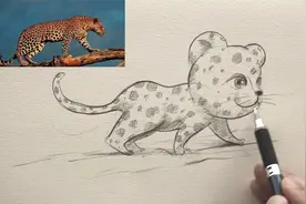 真实猎豹怎么画成卡通，教你卡通是怎么创作的