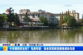 今年喂鸥安全吗？ 鸟类专家：尚未发现新冠病毒感染鸟类视频封面