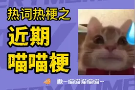喵喵梗合集 happ猫 香蕉猫 歪嘴猫 岩浆猫 臭猫是什么梗？视频封面