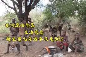 非洲原始部落迁徙之旅，条件艰苦，新生婴儿只有大概50%能存活视频封面
