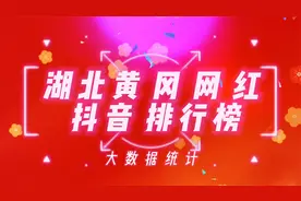 湖北黄冈百万粉丝网红抖音排行榜，看看这些网红你是否刷到过