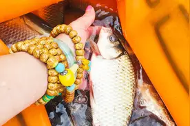 有了这两个小窍门，冰箱冻鱼可以保鲜几个月，大家可以试一试！