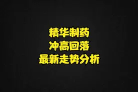 精华制药：开盘再次冲高回落，后市如何把握？视频封面