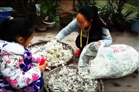 农村鸭毛18块一斤，农村姑娘拿一袋上街卖了60块钱，高兴坏了视频封面