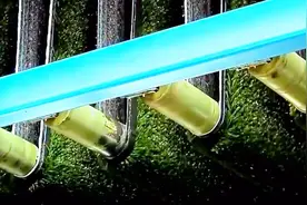 人工草坪几十块钱一平米，今天才知道是怎么做出来的视频封面