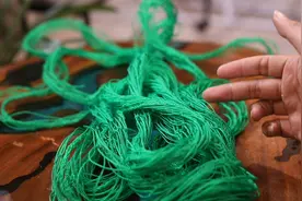 养爬藤植物怎么搭设架子？园艺师教你，用爬藤网，一拉就成爬藤架