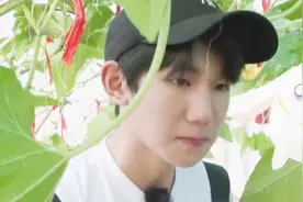 王源误把菊瓜当水果吃，王祖蓝说不能生吃，王源表情让我哭笑不得