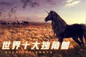 2023年世界十大独角兽企业排行榜，那些还未上市的超级公司都有谁视频封面