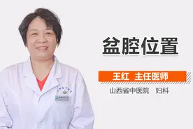 盆腔的位置