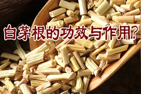 白茅根的功效与作用？