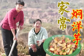 新鲜出炉的土豆，必须要焖一锅！做法简单绵软有味，吃着还比肉香视频封面