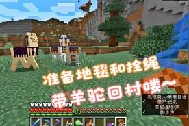 我的世界1.16单人生存168：备好地毯和拴绳 开始驯服羊驼啦