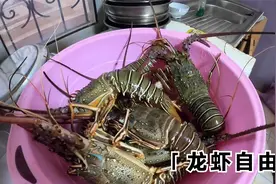 骑行非洲188:在毛里塔尼亚能实现吃龙虾自由，非洲日子过的苦啊！视频封面