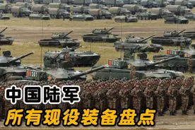 中国陆军现役的所有装备盘点，191式和95式步枪新老接替