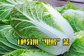 才知道，这样的白菜别买了，不怪菜农，教你1秒分辨“甲醛”菜视频封面