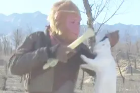 月宫主人不是嫦娥而是太阴星君，孙悟空见了都要回避视频封面