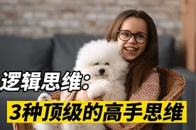 逻辑思维：个人成长3个经典的思维模型，高手必备的思考方式