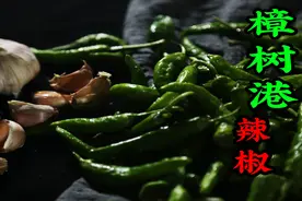 200块一斤的樟树港辣椒怎么做？来看看正宗做法是怎样的吧视频封面