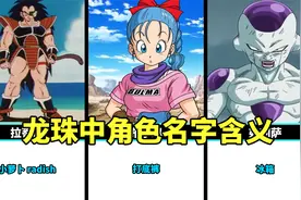 龙珠中角色名字的含义，很多逼格很高的人物瞬间让人忍俊不禁