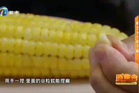 买来糯玉米煮完却不糯，糯玉米、老玉米、水果玉米如何分辨？