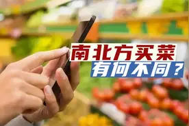 南方人和北方人买菜有哪些不同？北方买菜豪爽，南方买菜精挑细选
