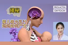揭秘 婴儿吸吮母亲乳汁 母体是如何酝酿分泌乳汁全过程 3D影像视频封面
