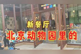 北京动物园美食新变化，多了很多家各色餐厅视频封面