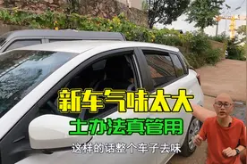 新车气味太大了，老司机教你一个土办法，效果胜过活性炭和柚子皮视频封面