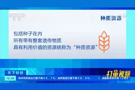 国家作物种质资源库专门用于保存种子|天下财经