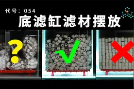 底滤缸滤材怎么摆放，多维度分析，你摆对了吗？