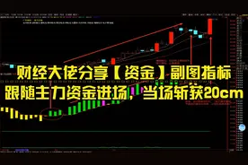 财经大佬分享【资金】副图指标，跟随主力资金进场，当场斩获20cm视频封面