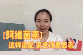 阿维菌素这样混配 防治稻纵卷叶螟、小菜蛾、甜菜夜蛾等效果显著视频封面