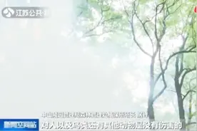 南京：中山陵景区针对虫害集中防治，管理队使用烟雾机多点位除虫视频封面