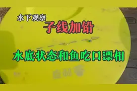 水下观察，子线加铅在水底状态和鱼吃口漂相，这结果你能想到吗？