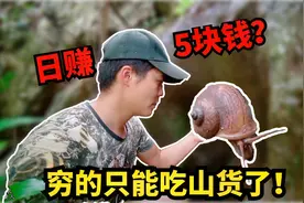 广西农村太穷？生活费都在山上找，一天最低收入只有5块钱！视频封面