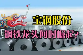 宝钢股份——钢铁龙头何时崛起？视频封面