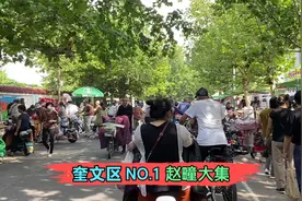 潍坊奎文区最大的大集，赵疃大集，顾客人山人海毫不夸张视频封面