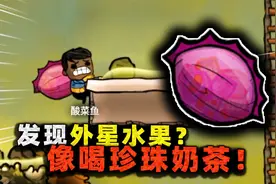 缺氧生存：捕蝇草果实成熟！吃着竟有奶茶味，口感和椰果差不多？视频封面