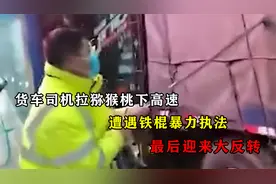 货车司机拉猕猴桃上高速，遭遇铁棍暴力执法，最后迎来大反转视频封面